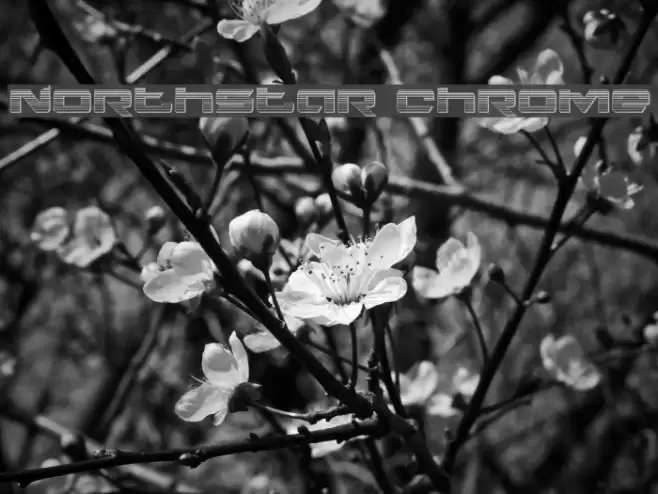 Northstar Chrome Font examples