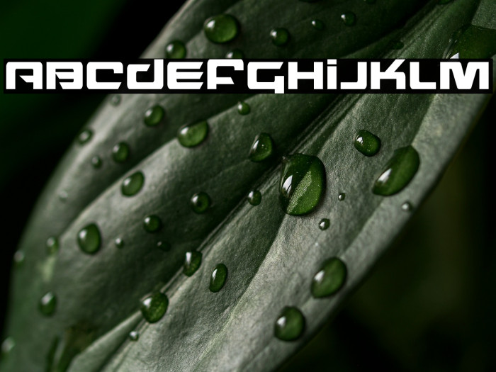 Northstar Condensed Example 2