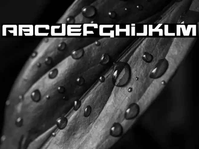 Northstar Condensed Font examples