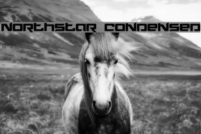Northstar Condensed Font examples