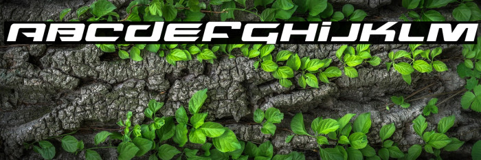 Northstar Expanded Italic Example 3