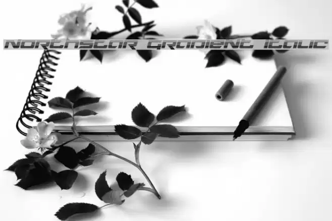 Northstar Gradient Italic Font examples