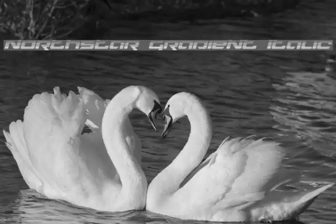 Northstar Gradient Italic Font examples