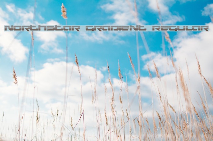 Northstar Gradient Regular Example 1