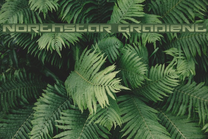 Northstar Gradient Font examples
