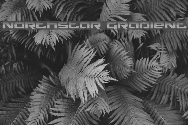 Northstar Gradient Example 1