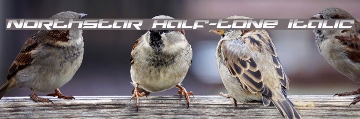 Northstar Half-Tone Italic Example 1