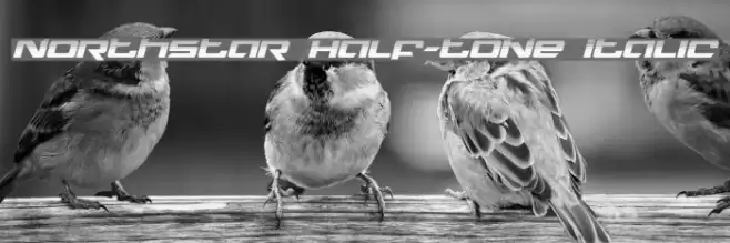 Northstar Half-Tone Italic Font examples