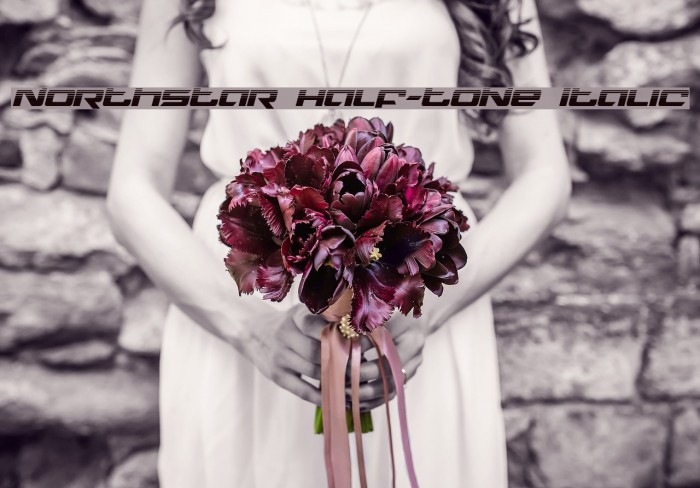 Northstar Half-Tone Italic Example 2