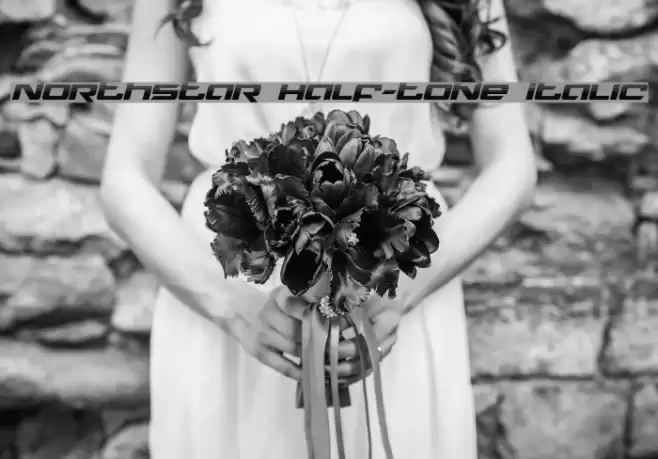 Northstar Half-Tone Italic Font examples