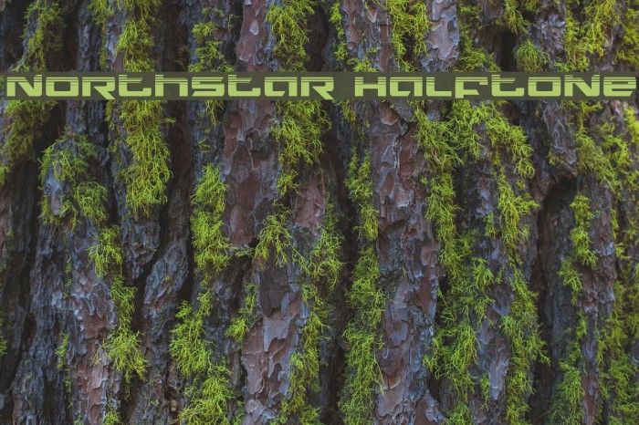 Northstar Halftone Example 2