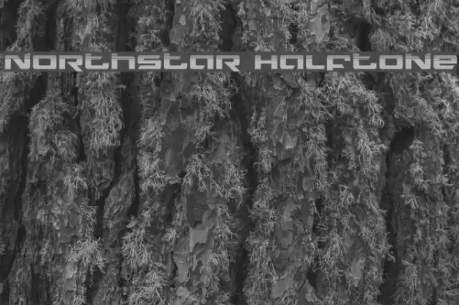 Northstar Halftone Font examples