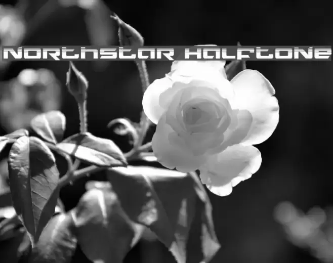 Northstar Halftone Font examples