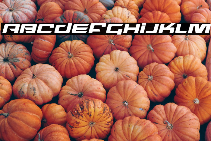 Northstar Italic Example 3