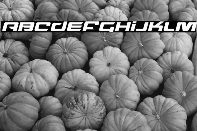 Northstar Italic Font examples