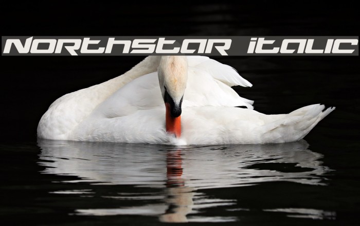 Northstar Italic Example 3
