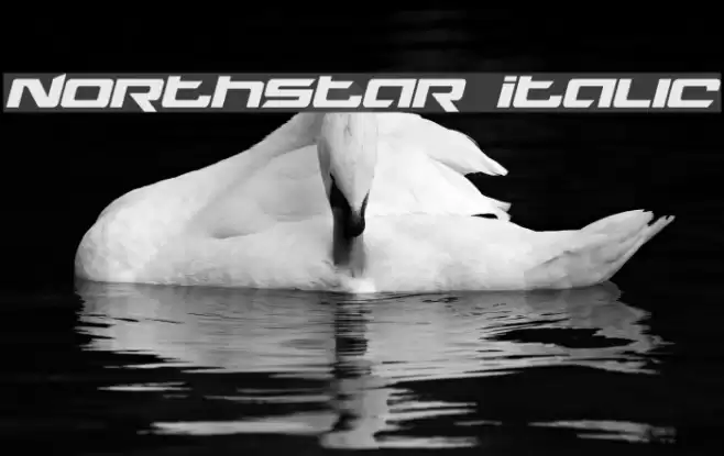 Northstar Italic Font examples