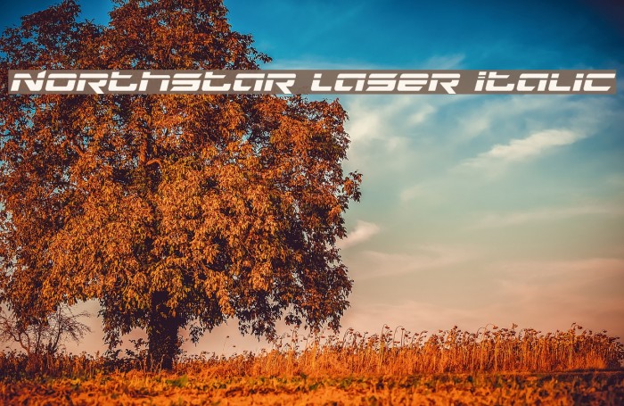 Northstar Laser Italic Font examples