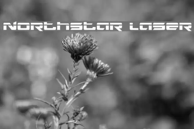 Northstar Laser Font examples