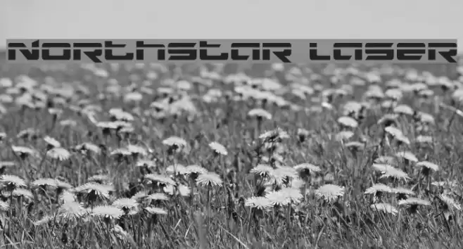 Northstar Laser Font examples
