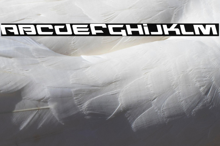 Northstar Leftalic Example 2