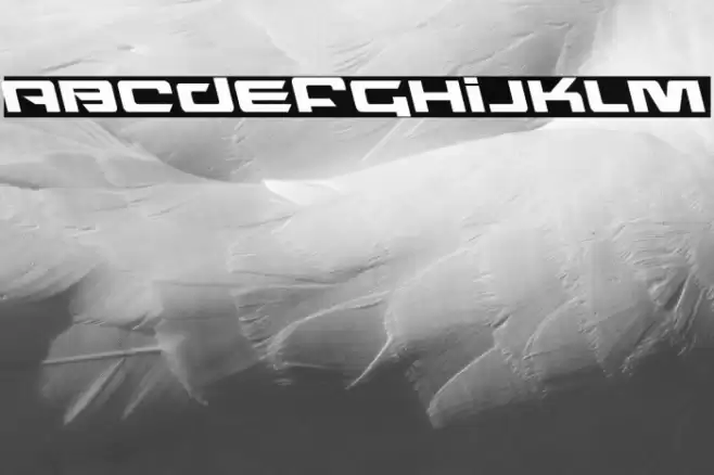 Northstar Leftalic Font examples