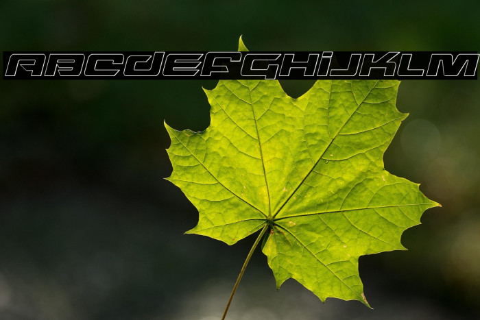 Northstar Outline Italic Example 2