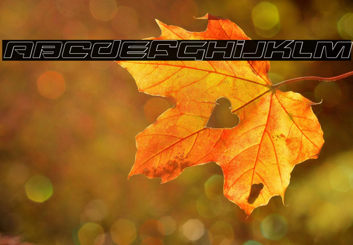 Northstar Outline Italic Example 3