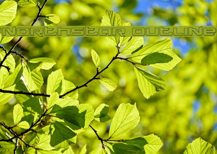 Northstar Outline Example 2