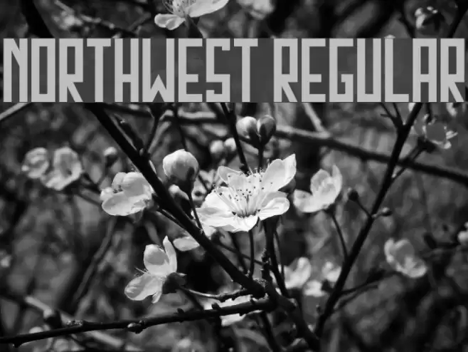 Northwest Regular Font examples