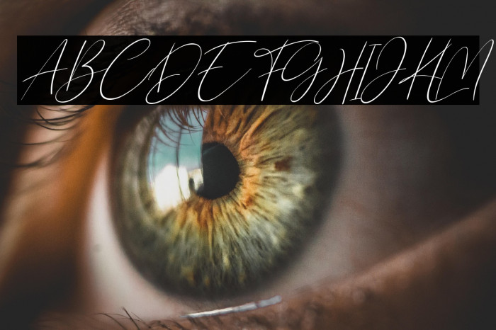 Northwest Signature Italic Example 1