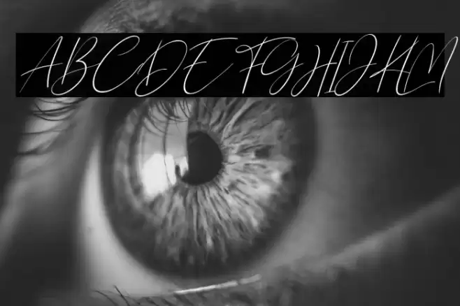 Northwest Signature Italic Font examples