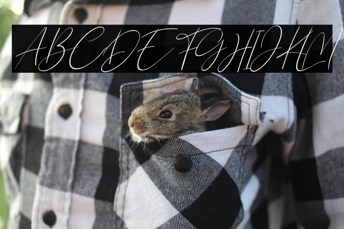 Northwest Signature Italic Example 2