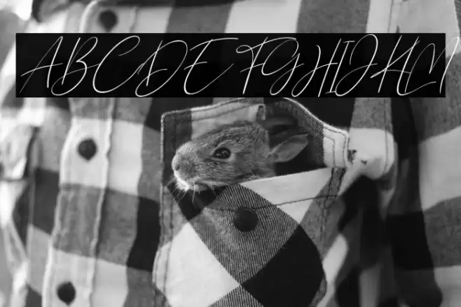 Northwest Signature Italic Font examples