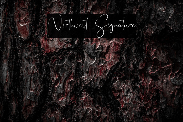 Northwest Signature Example 2