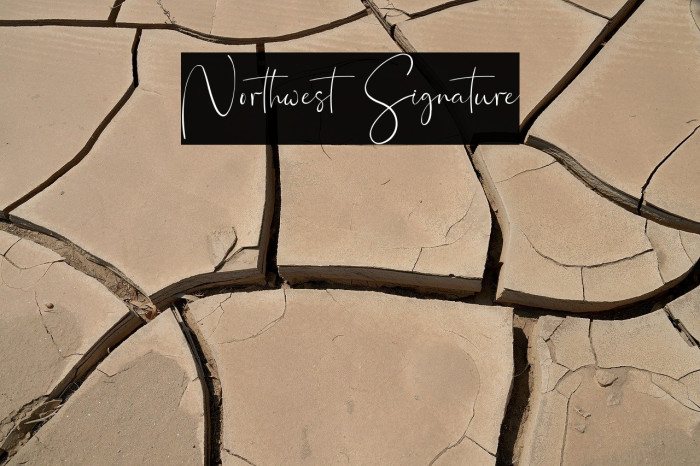 Northwest Signature Example 3