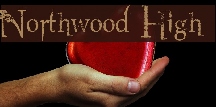 Northwood High Font examples