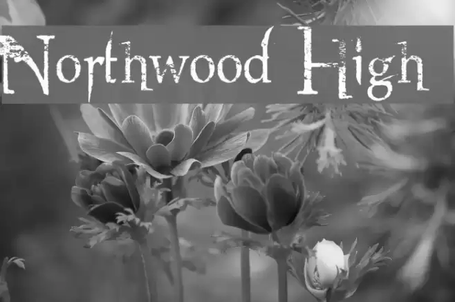 Northwood High Font examples