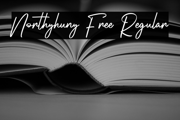 Northyhuny Free Regular Example 1