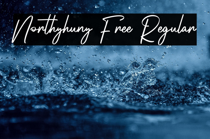 Northyhuny Free Regular Example 2