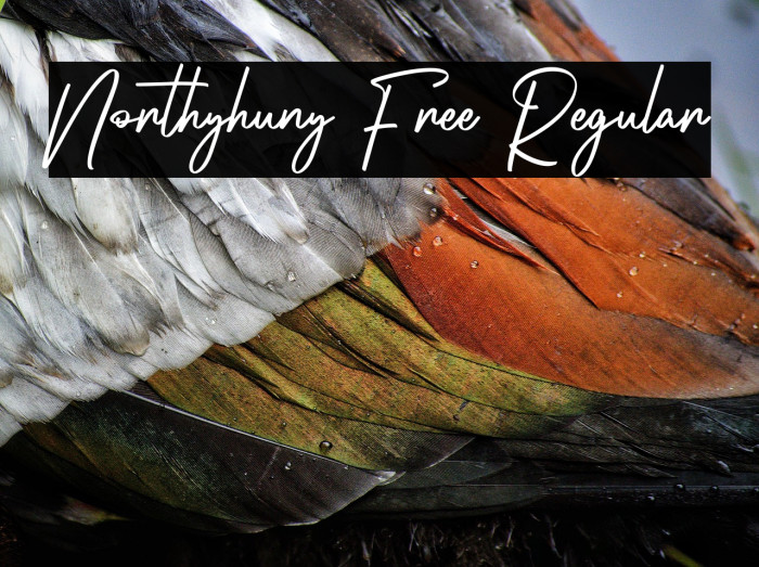 Northyhuny Free Regular Example 3