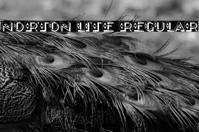Norton Lite Regular Font examples