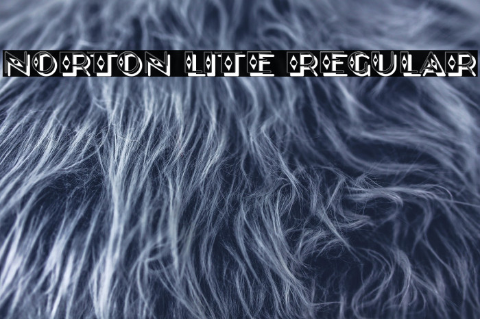 Norton Lite Regular Example 2