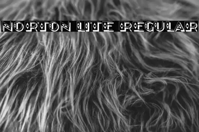 Norton Lite Regular Font examples