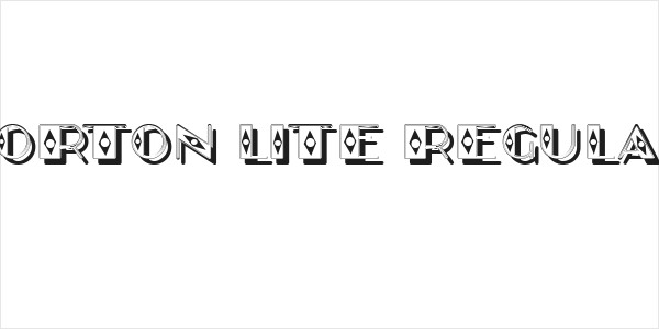 Norton Lite Regular Logo