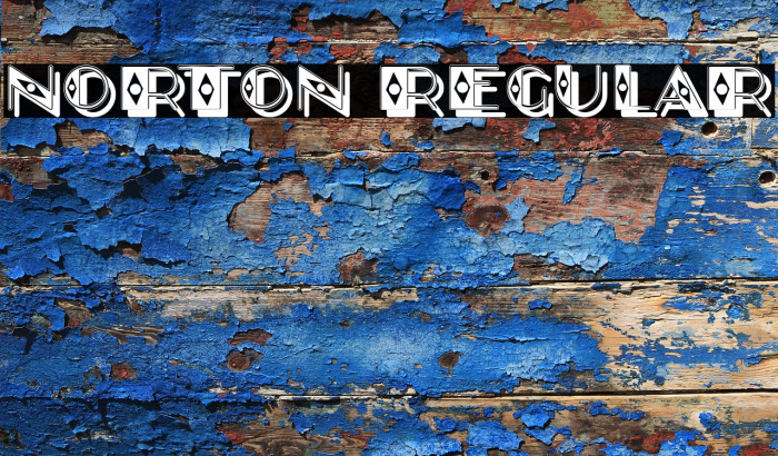 Norton Regular Example 1