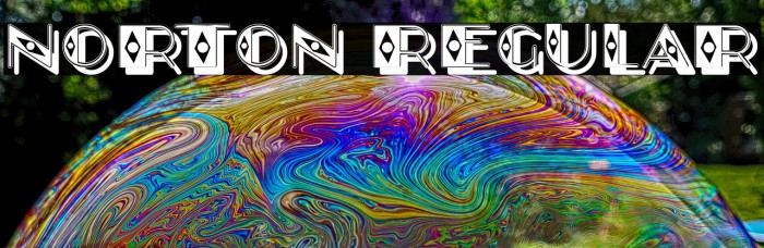 Norton Regular Example 3