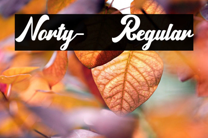 Norty-Regular Example 1