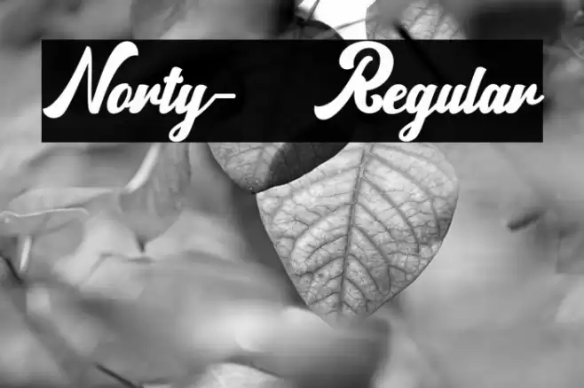 Norty-Regular Font examples