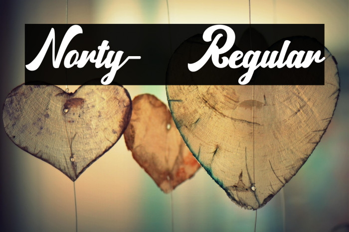 Norty-Regular Example 2